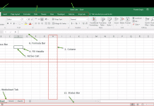 Microsoft Excel Introduction|Basic Excel and Components with Some Examples Beginner's Guide of MS Excel