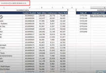 Use Data Types,Functions – MS Excel Bangla Tutorial VLOOKUP - Overview, Examples, Step by Step Guide