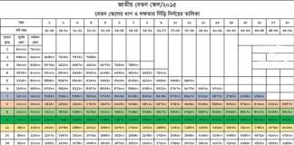 জাতীয় পে বেতন স্কেল গেজেট ২০১৫। Pay Scale 2015 জাতীয় বেতন স্কেল ২০১৫ গেজেট